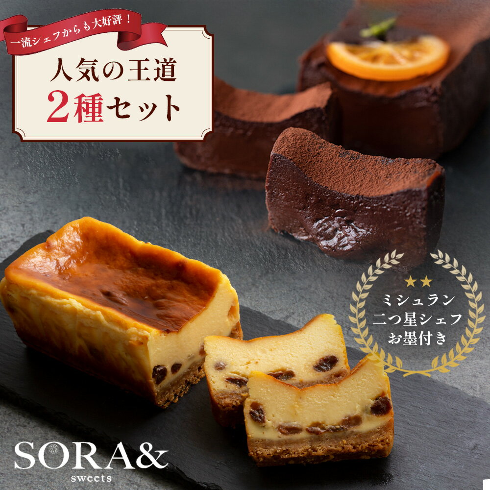 楽天SORA＆ sweets送料無料 人気の王道 贅沢2種セット チーズケーキ 生ガトーショコラ 絶品 お取り寄せ 洋菓子 スイーツ冷凍 スイーツ詰め合わせ スイーツ 贈り物 喜ばれる 美味しいお菓子 ケーキセット 手作り ガトーショコラ スイーツお取り寄せ 濃厚ガトーショコラ すいーつ バースデー