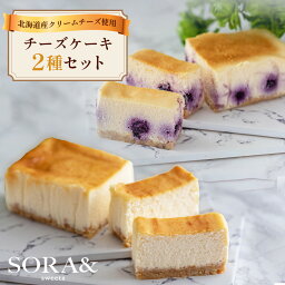 送料無料&Sky チーズケーキ 食べ比べセット プレーン ブルーベリー フルーツ チーズケーキ チーズケーキお取り寄せ 洋菓子お取り寄せ チーズのお菓子 スイーツ詰め合わせ スイーツお取り寄せ 美味しいお菓子 美味しいチーズケーキ ケーキセット 母の日 ベイクドチーズケーキ