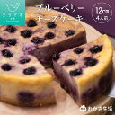 ＼最大10倍ポイントアップ！／ 父の日 遅れてごめんね スイーツ 健康 ブルーベリー 冷凍 ケーキ お菓子 ルテイン チーズケーキ お取り寄せ 誕生日ケーキ 大人 送料無料 おしゃれ 誕生日 お祝い ケーキスイーツ ギフト ジャム 濃厚チーズケーキ ビルベリー わかさ生活 あす楽