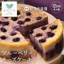 ＼本日 ポイント5倍／ バレンタイン チーズケーキ スイーツ わかさ生活 ブルーベリー ギフト プレゼント 贈り物 内祝 誕生日 おしゃれ 洋菓子 ケーキ お菓子 記念日 送料無料 お返し ブルーベリージャム ジャム バレンタインデー ホワイトデー 2023 かわいい お祝い ホール