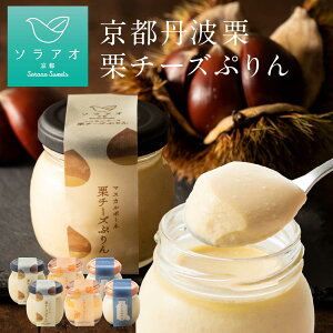 \ 11月1日予約開始 / バレンタイン プリン 2025 お菓子 送料無料 お取り寄せ スイーツ 限定 栗プリン かぼちゃプリン カスタードプリン 6個セット プリン 瓶 なめらか 固め うまとろ 誕生日 カボチャプリン 人気 女性 スイーツ 詰め合わせ 栗 かぼちゃ