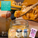 お中元 2025 プリン プレゼント ギフト お菓子 送料無料 お取り寄せ スイーツ 4個 6個 かぼちゃプリン 詰め合わせ 高級 贅沢 固め 女性 お歳暮 カスタードプリン 誕生日 固めプリン お取り寄せ スイーツ楽天 敬老の日 熨斗