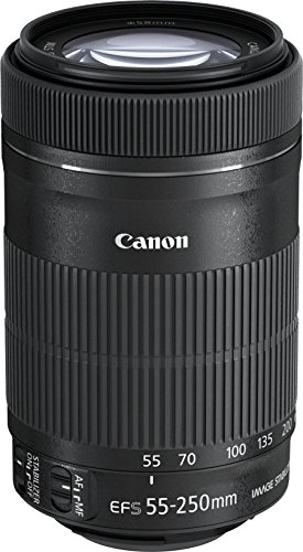 Canon キヤノン 望遠ズームレンズ EF-S55-250mm F4-5.6 IS STM APS-C対応 EF-S55-250ISS 送料無料