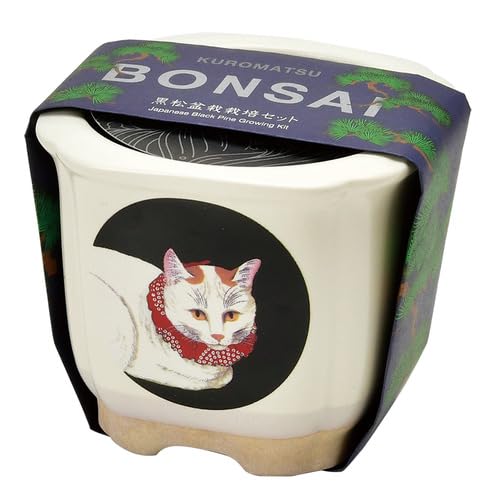 聖新陶芸 JAPANESE BONSAI 白猫 サイズ：約W8.5 D8.5 H7.5 GD-64005 送料無料