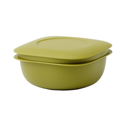 ライクイット (like-it) 蒸気であたためる冷凍ごはん容器 LBK-21 グリーン 一膳分(160?200g) 水切れの良い ミニ 送料無料