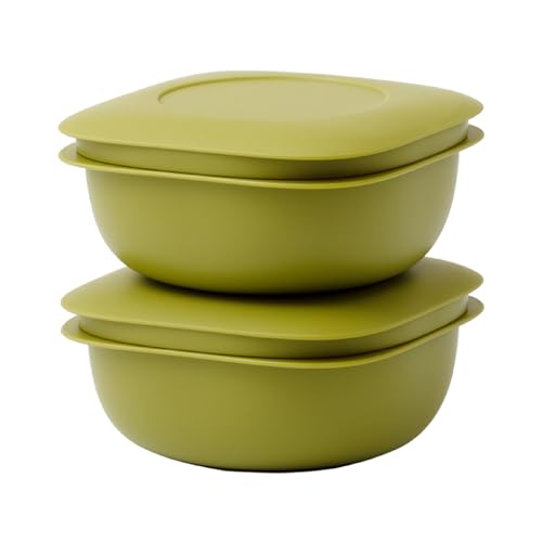 ライクイット (like-it) 蒸気であたためる冷凍ごはん容器 2個組 LBK-21 2P セット グリーン 一膳分(160?200g 送料無料