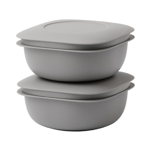 ライクイット (like-it) 蒸気であたためる冷凍ごはん容器 2個組 LBK-21 2P セット グレー 一膳分(160?200g) 送料無料