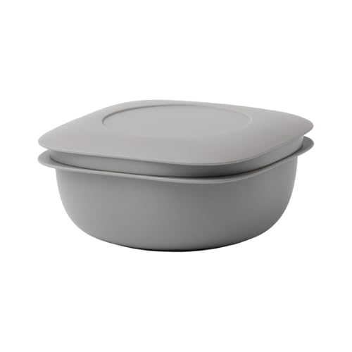 ライクイット (like-it) 蒸気であたためる冷凍ごはん容器 LBK-21 グレー 一膳分(160?200g) 水切れの良い ミニザ 送料無料