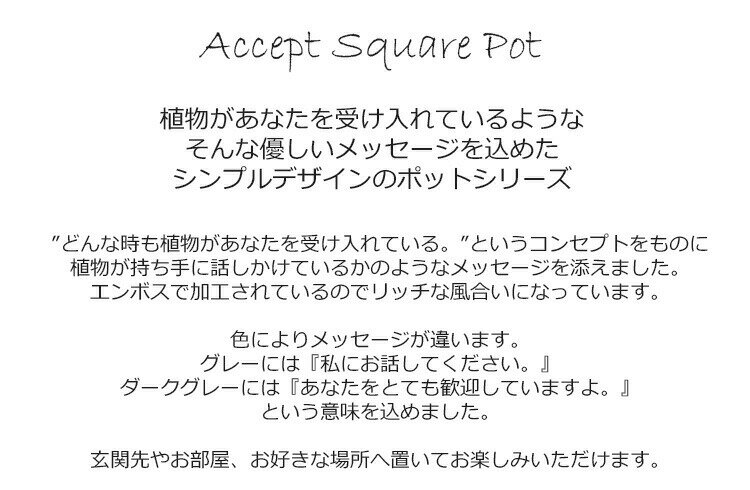 陶製 プランター アクセプト・スクエアポットS 高さ4cm 2色 （ベージュグレー・ダークグレー）セメント 鉢植え 植木鉢 おしゃれ アンティーク 小物 多肉植物などの寄せ植えにぴったり