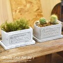 陶製 プランター フォーベトン・レクトポットセット・S (レクト)高さ8cm グレー ホワイト 北欧 ...