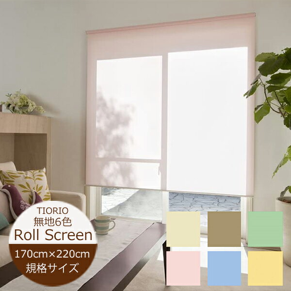 ロールスクリーン 【幅170cm×高さ220cm】 無地6色 ココルン TIORIO (ティオリオ) 立川機工 日本製 規格品 ロールスクリーン 既製 ロールカーテン プルコード