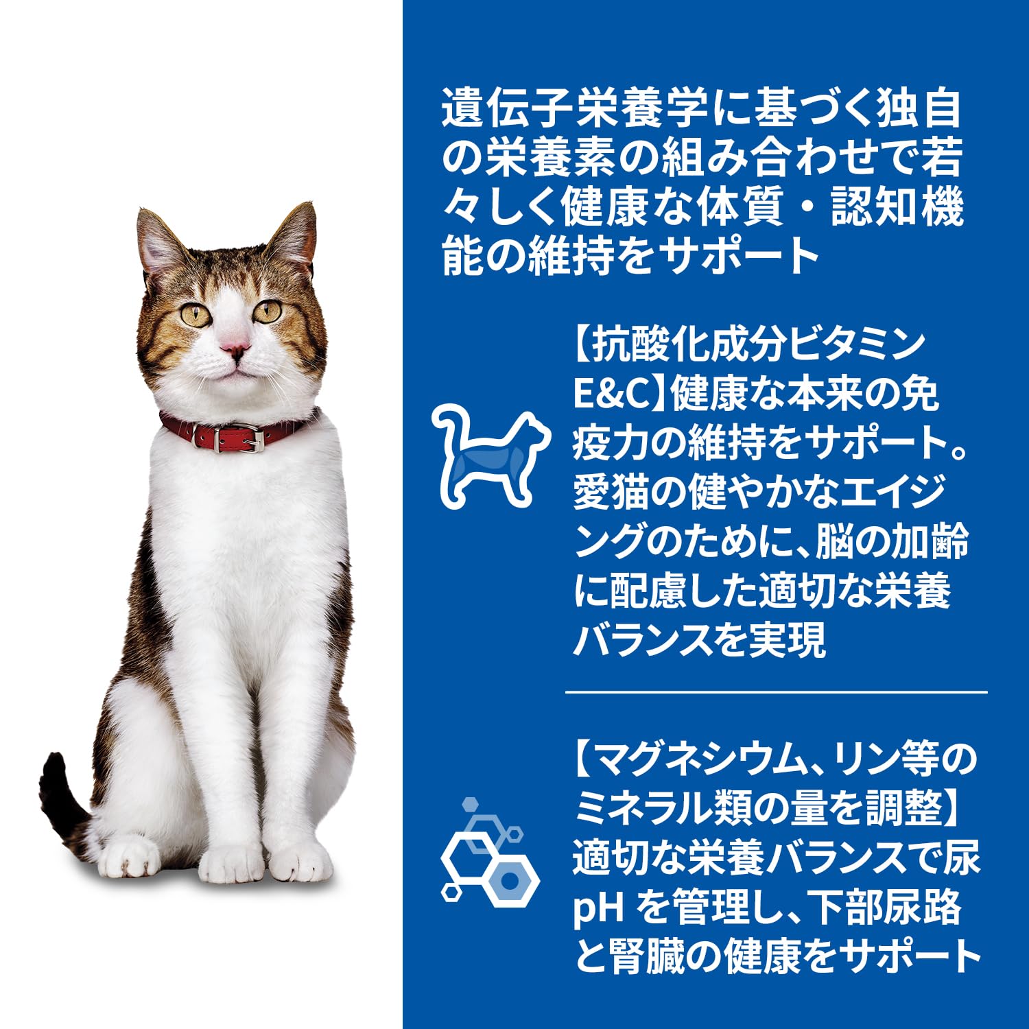 ヒルズ サイエンスダイエット キャットフード シニアトータルケア機能 サーモン パウチ 85g×48袋 7歳以上 高齢猫用 シニア ウェット お sorafude-10006307 空筆楽天市場店 サンプル画像2