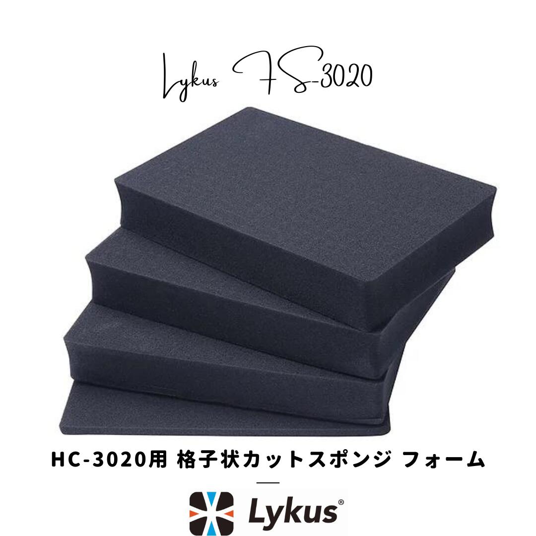 Lykus HC-3020  ʻҾåȥݥ ʥե ͽ |   󥫥 ˥ ɥ Хåƥ꡼...