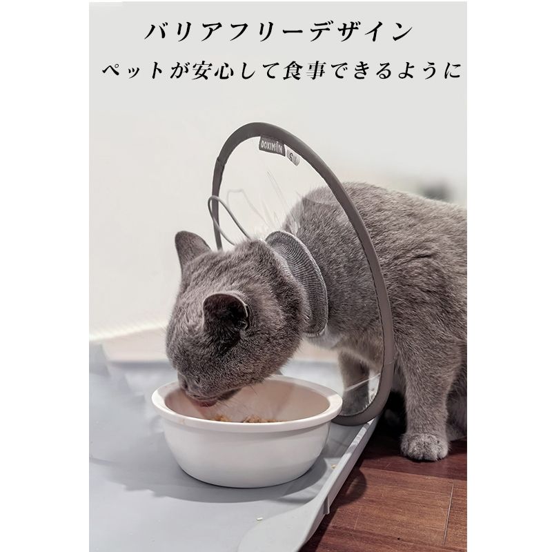 ���ꥶ�٥����顼 ǭ ���ꥢ ���ե� ���餫�� ���� �ð���� ��ԡ�����¿�� �ե��������顼 ��Ʃ�������եȡ� ��ǭ ��ǭ ���� ���� �󸵥��å���� ��Ѹ� �����ݸ� ­�Ӥ��ɻ� ���Ӥ��ɻ� ǭ�� ���� �ڥå��� ���襤�� ��� ��ñ���� ����̵��