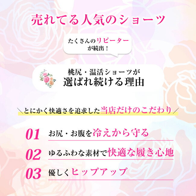 送料無料 3枚セット ショーツ レディース 深ばき 響かない ヒップハンガー シームレス レース 裏起毛 腹巻 腹巻き 腹巻きパンツ 温活 抗菌 パンツ あったかインナー あったかグッズ 2