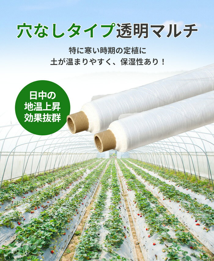農業用ポリフィルム 透明マルチ（穴無し） 厚さ0.01 マルチシート 地温上昇効果 農...
