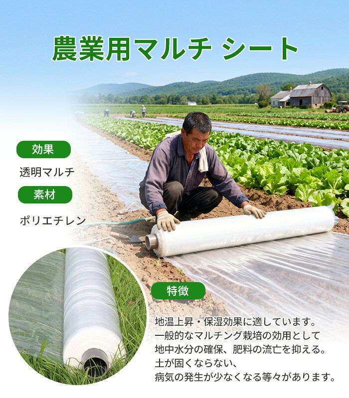 農業用ポリフィルム 透明マルチ（穴無し） 厚さ0.01 マルチシート 地温上昇効果 農...