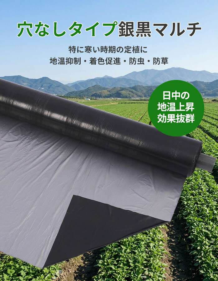 農業用マルチシート 農ポリ 銀黒タイプ マルチシート（無孔） 厚さ0.012mm マルチ...