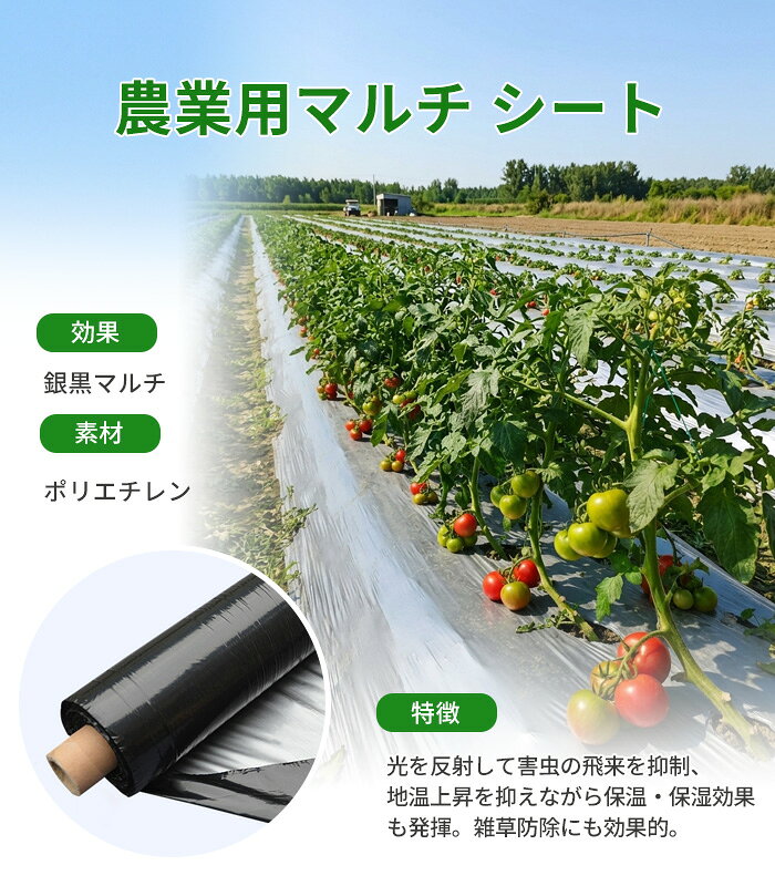 農業用マルチシート 農ポリ 銀黒タイプ マルチシート（無孔） 厚さ0.012mm マルチ...