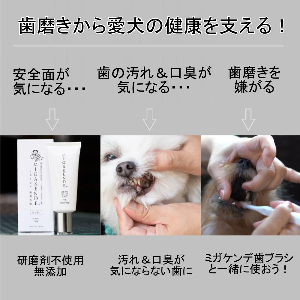 獣医師もおすすめ 日本製 ワンちゃん用の天然毛歯ブラシ 研磨剤フリー 無添加 歯磨き粉 いつまでも健康で愛する家族とずっと一緒に ワンちゃんの歯の健康に デンタル オーラルケア 70 Off 歯石 黄ばみ 除去 ハミガキ 犬 研磨剤不使用 40mg 天然成分 歯磨き ペット