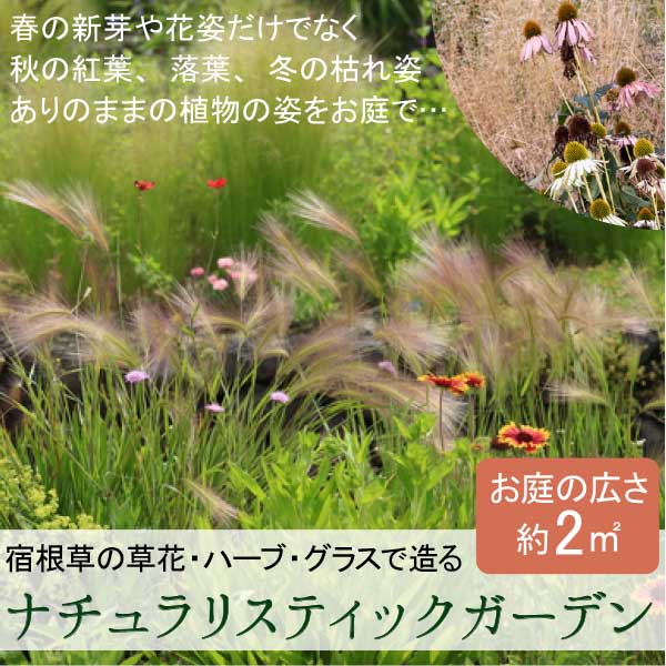 24時間以内にメールが届かない場合は問合せフォームからご連絡ください。 ◆ナチュラリスティックガーデン（狭域タイプ：約2平米）◆ ※宿根草をメインとしたお庭造りセット 何年も楽しめる多年草（宿根草）をお庭に植えませんか？ ※植える広さ：約2平米（1m×2m） 小さい植栽スペースでも楽しめます！ 毎年少しづつ大きく成長していく様子が楽しめ、 植物に高低差があるので、初心者の方でも簡単に 春は新芽、秋には実や穂、冬は葉や花の枯れ姿を 植物のありのままを楽しめるナチュラリスティックガーデンを ご自宅のお庭に！ ◆適した環境：日向から半日陰（午前中数時間日が当たる様な場所） ◆植え付け時期：春と秋が好ましいですが、厳冬期と盛夏を除けば年中植え付け可能です。 ※セット内容 ■メリニス・サバンナ（15cmポット）×1 ■カレックス（15cmポット）×1 ■エキナセア（12cmポット）×2 ■エリゲロン（9cmポット）×3 ■ラベンダー・グロッソ（15cmポット）×1 ■ガウラ（15cmポット）×1