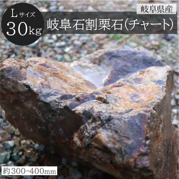Rakuten - 岐阜石 割栗石 チャート石　Lサイズ　300-400mm　30kg/袋　国産 シンボルツリー ロックガーデン DIY ガーデニング 園芸 シンボルストーン　庭石