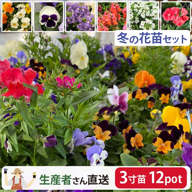 商品画像2