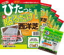 貼るだけ！ 芝生シート (5セット) 5平方メートル分 1平方あたり約1,200円！◆まくだけで芝生の根はりをよくする 1坪分と使用マニュアル付◆ 天然芝 冬でも青々 西洋芝　センター発送］（000085set_5)