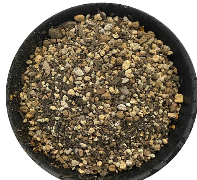 [自然応用科学] のつち 観葉植物の土 8L ゼオライト配合 観葉植物 土 水はけ 通気...
