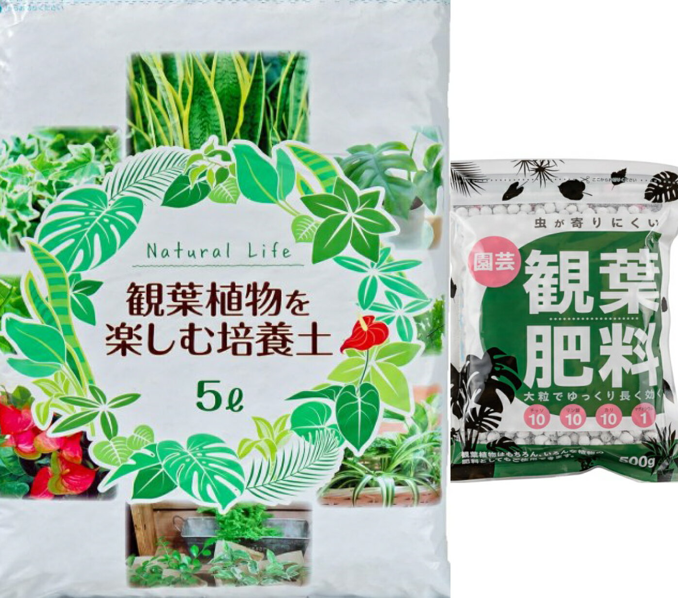 [自然応用科学] 観葉植物を楽しむ培養土 5L+観葉肥料 500gのセット観葉植物の土 観葉植物の肥料 赤玉土..