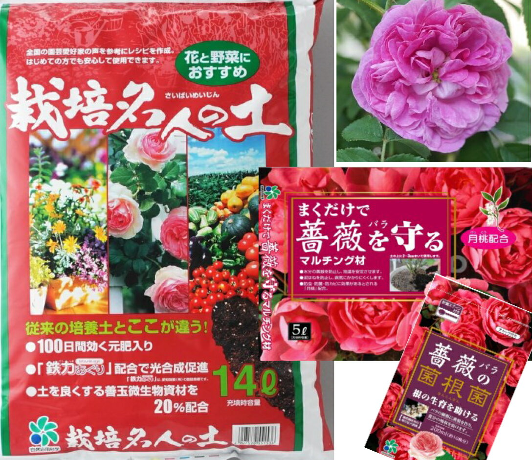 バラの植え付け・植え替え3点セット バラ 用土 薔薇 バラの土栽培名人の土+ 薔薇のマルチング 薔薇の菌..