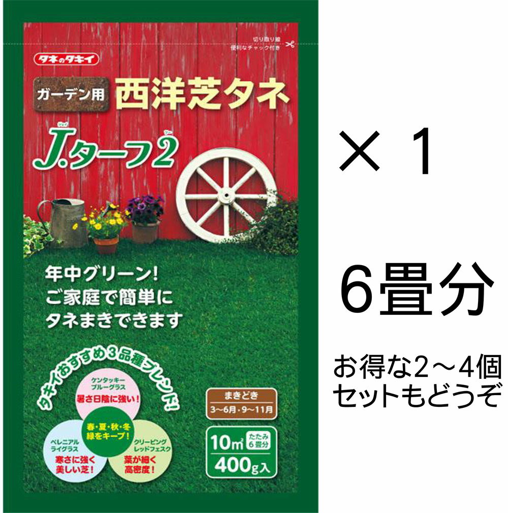 Jターフ2 西洋芝の種 400g 6畳分(約10平米) タキイ種苗 西洋芝 タネ ［センター発送］（000319）