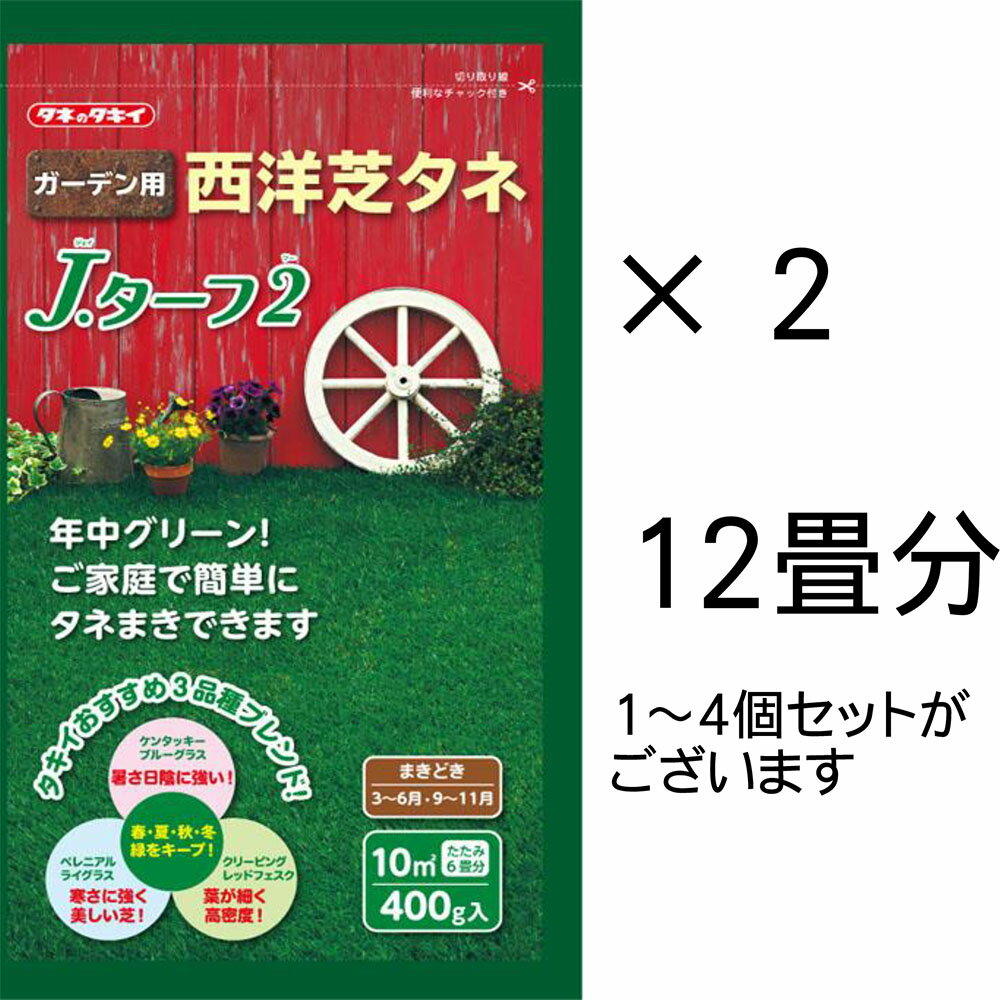 Jターフ2 西洋芝の種 800g 12畳分(約20平米) タキイ種苗 西洋芝 タネ ［センター発送］（000319）