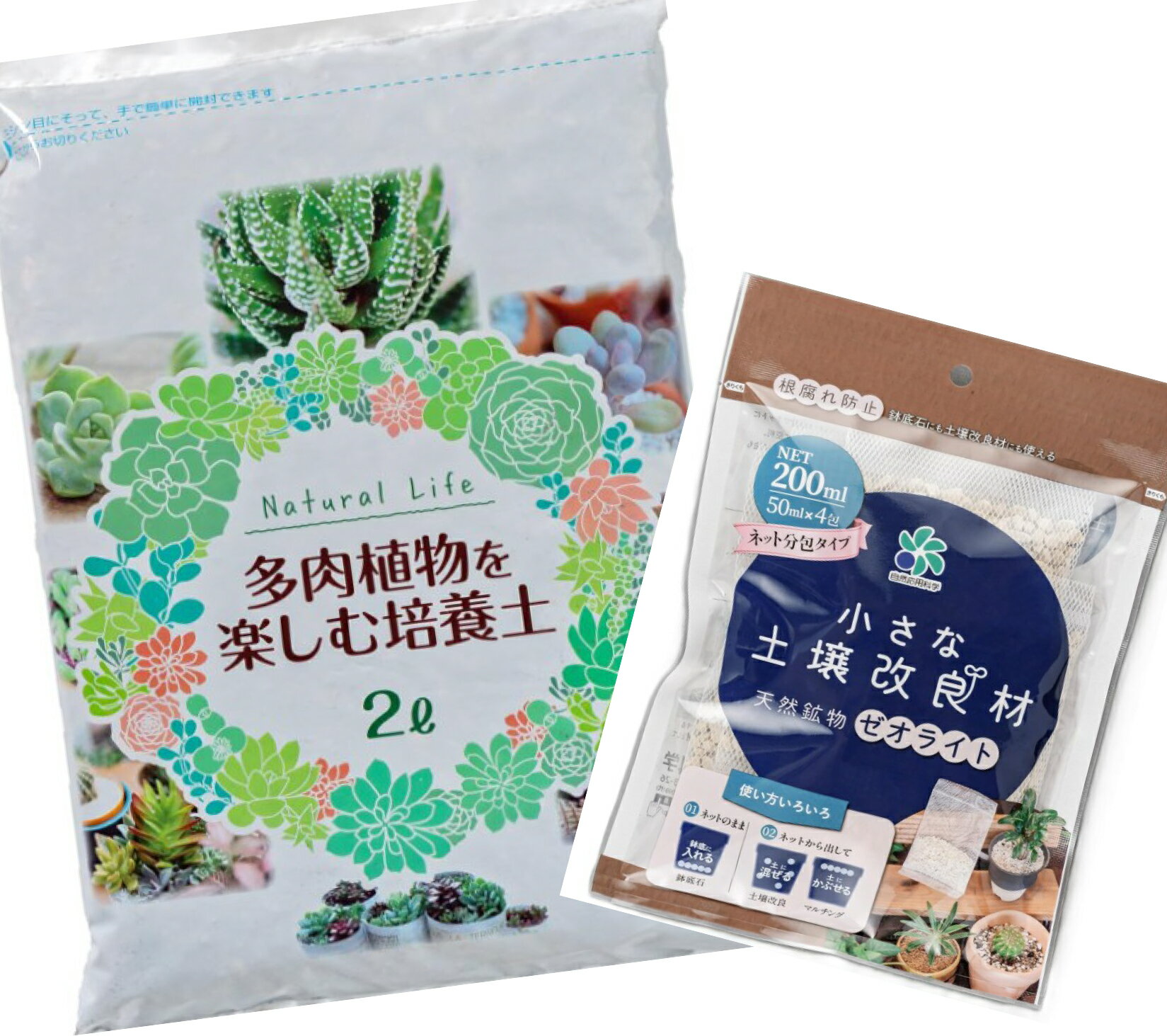 多肉植物栽培セット多肉植物を楽しむ...