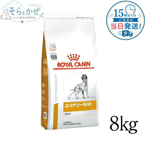 imgrc0343650946.jpg