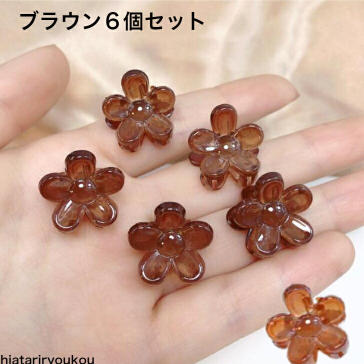 フラワーデザインミニミニバンスクリップ6個セッ...の紹介画像2