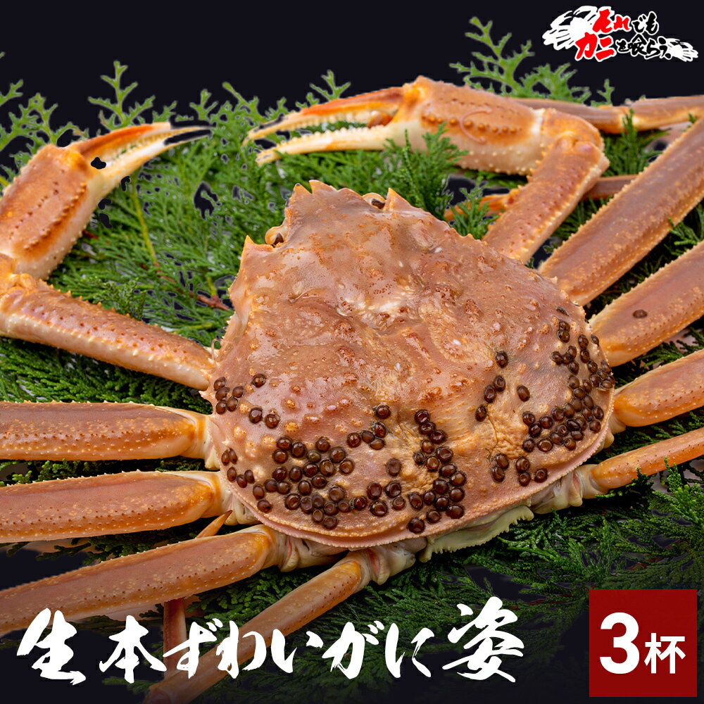 ̵ ̣դ  襤  3 (item-16)  (1.8kg)    磻    ̣...