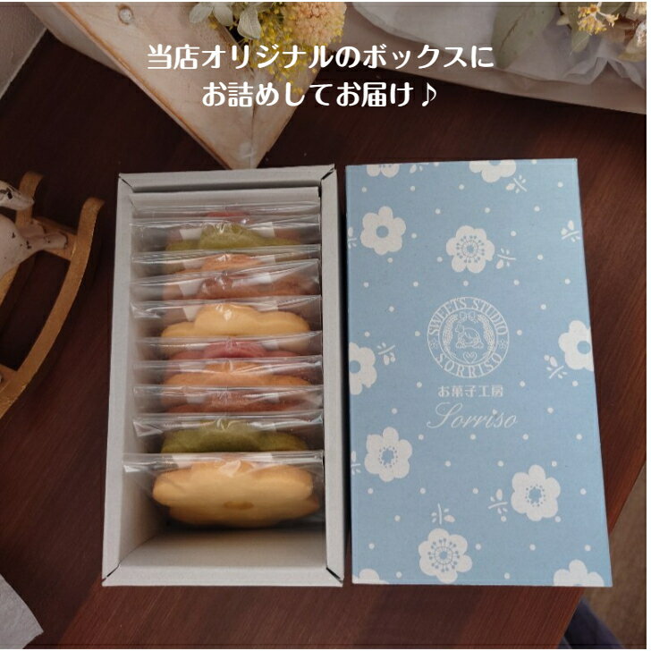 ���å��������֥��å���10�祻�åȡʺ̡ˡ��ۥ磻�ȥǡ���´�ȼ������ؼ������ˤ������å����ͤ��碌���Ƥ��ۻҡ��Ƥ��ۻҵͤ��碌�����եȡ������󤻡����襤��������ġ� �������ġ� �βۻҡ� �ܥå��������ꡡ�ץ쥼��ȡ�£��ʪ�����ˤ������ۻҹ�˼sorriso