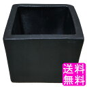 【送料無料】【数量限定】 陶雅 植木鉢 陶器 角型 黒 3号 相当C ■ ポイント消化 1000円ポッキリ 口径約8.5cm 浅型 陶器鉢 室内 屋外 植木鉢 ...