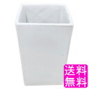 【送料無料】【数量限定】 陶雅 植木鉢 陶器 角型 白 3号 相当D ■ ポイント消化 1000円ポッキリ 口径約8.5cm 深型 陶器鉢 室内 屋外 植木鉢 ...