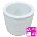 【送料無料】【数量限定】 陶雅 植木鉢 陶器 丸型 白 3号 相当F ■ 口径約8cm 浅型 おしゃれ 陶器鉢 室内 屋外 植木鉢 陶磁器 丸陶器鉢 園芸 観葉...
