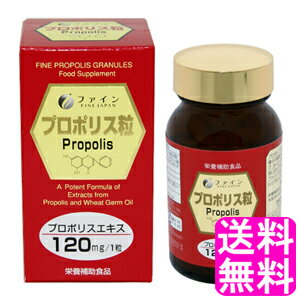 【送料無料】 プロポリス粒 ■ ファイン 栄養補助食品 フラボノイド ビタミンE ソフトカプセル