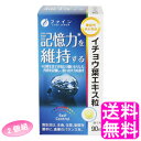 【送料無料】 機能性表示食品 イチョウ葉エキス粒 【2個組】■ ファイン 健康維持 イチョウ葉 銀杏葉