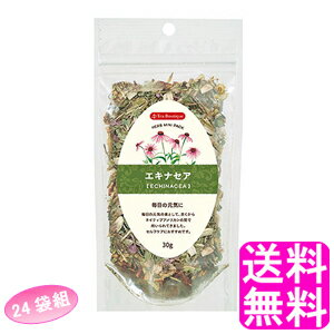 【送料無料】 ティーブティック ハーブミニパック エキナセア 【24袋組】 ■ 日本緑茶センター Tea Boutipue パック ハーブ マスクいらず