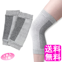 【送料無料】 シルク&備長炭 関節やわらかサポーター ひざ用 2枚組 【2セット】■ 日伸産業 SILK 絹 関節サポーター 柔らか 肘 消臭 調湿 保湿 年中...