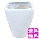 【送料無料】【数量限定】 植木鉢 陶器 白 3号 相当B■ 口径約9cm×12cm 小型 おしゃれ 陶器鉢 室内 屋外 植木鉢 陶磁器 丸陶器鉢 園芸 観葉植物 ガーデニング インテリア リビング 植え替え 鉢カバー 鉢 おまかせ ホワイト シンプル 小さい ミニサイズ