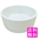 【送料無料】【数量限定】 陶雅 植木鉢 陶器 丸型 白 5.5号 相当A ■ 口径約16.5cm 浅型 おしゃれ 陶器鉢 室内 屋外 植木鉢 陶磁器 丸陶器鉢 ...