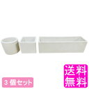 【送料無料】【数量限定】【訳あり】 陶雅 植木鉢 陶器 丸型 角型 白 3個セット ■ 3号相当 8号相当 浅型 おしゃれ 陶器鉢 室内 屋外 植木鉢 陶磁器 陶器鉢 園芸 観葉植物 花器 生け花 生花 盆栽 ガーデニング インテリア リビング 植え替え 鉢カバー 鉢 ホワイト シンプル