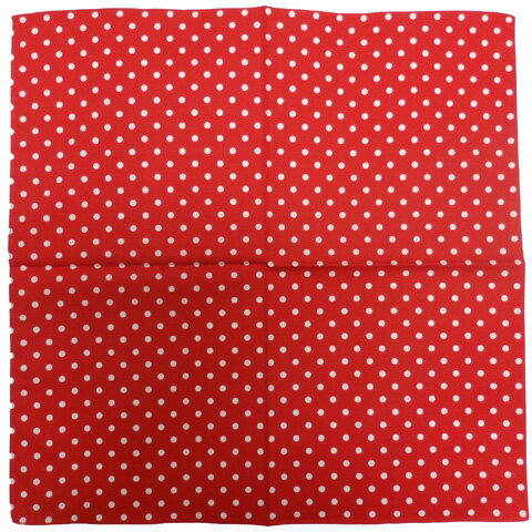 COLOR RED × WHITE なるべく実物に近い色合いで 画像を載せておりますが、 お使いのモニター等により 若干実物と異なる場合がございます。 あらかじめご了承のほどよろしくお願いいたします。 SIZE 縦 横 Free 約53cm...