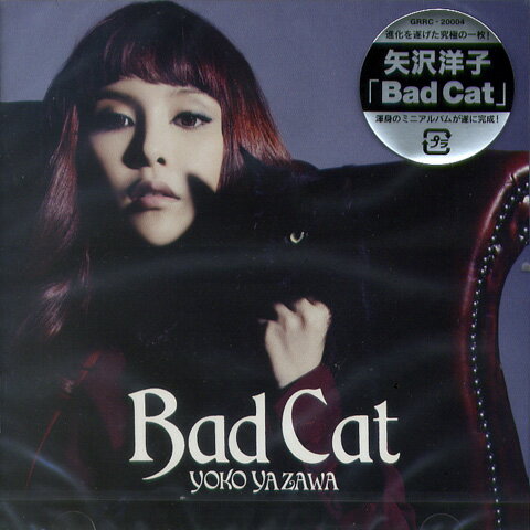 λ / Bad Cat